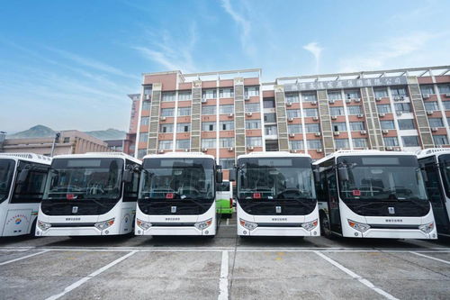 千里湘江畔，魅力蓮城再添綠色新風景——100臺吉利星際客車C8E交付湘潭城發集團